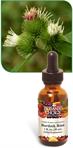 Burdock Root Liquid Extract encourages detoxification